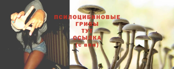 прущая мука Богородск
